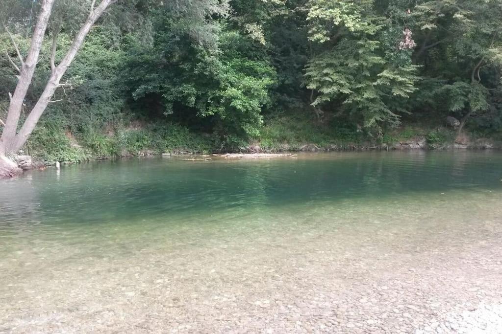 Appart Dans Maison 2 Km De La Plage Villeneuve-Loubet Εξωτερικό φωτογραφία